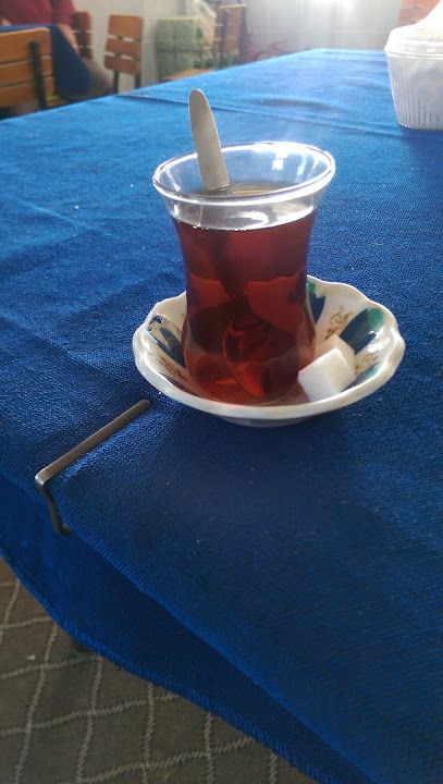 Fotoğraf 11
