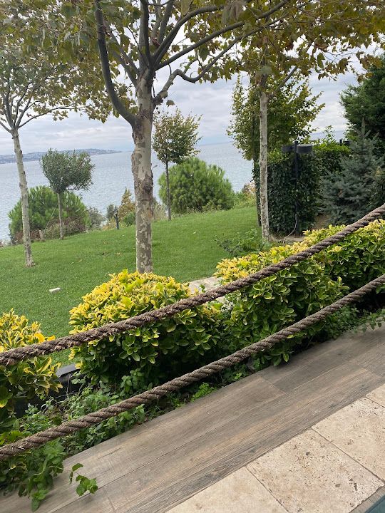 Yorum fotoğrafı 3