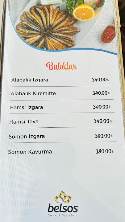Fotoğraf 33