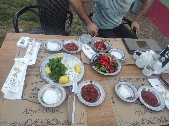 Fotoğraf 17