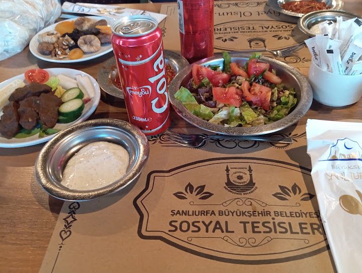 Fotoğraf 14