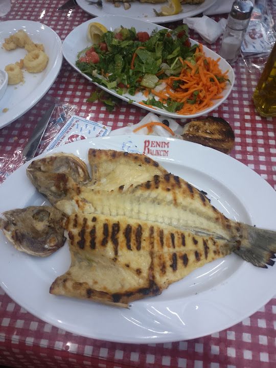 Fotoğraf 14