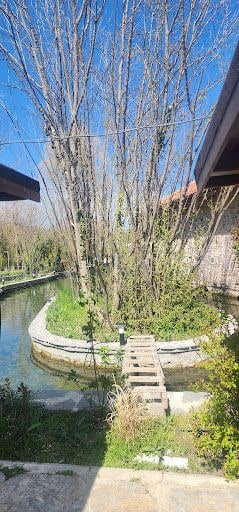 Fotoğraf 15