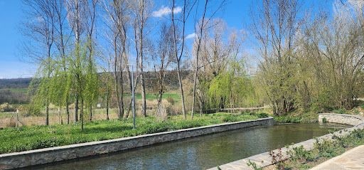 Fotoğraf 17