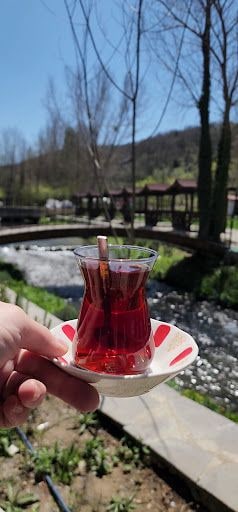 Fotoğraf 19