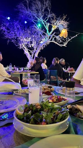 Fotoğraf 12