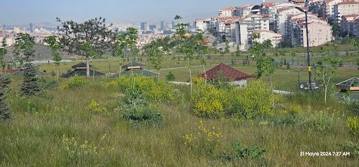 Yorum fotoğrafı 5