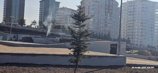 Yorum fotoğrafı 7