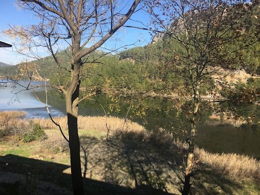 Fotoğraf 41