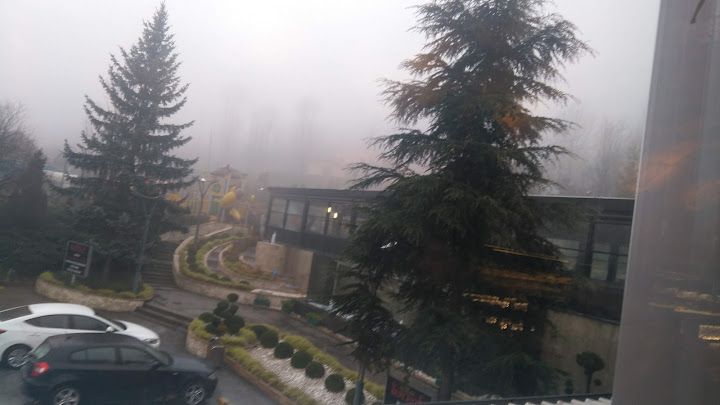 Fotoğraf 53