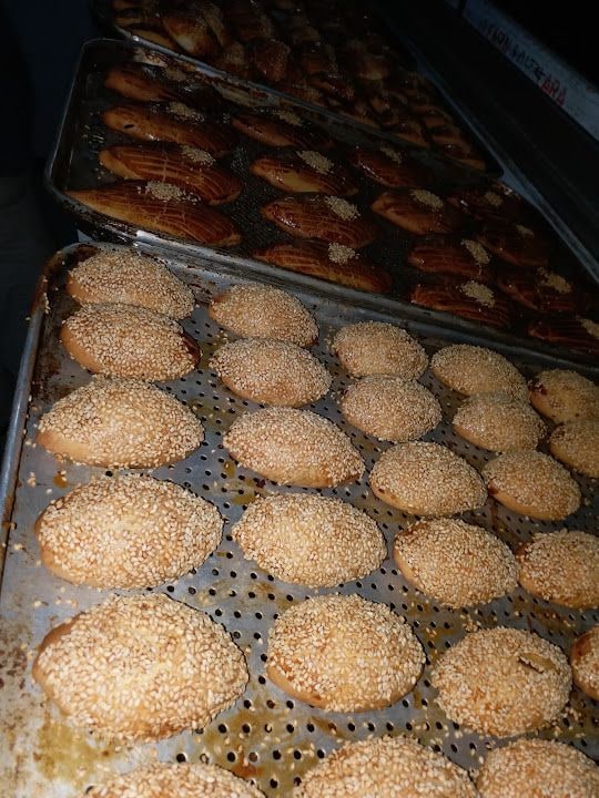 Fotoğraf 11