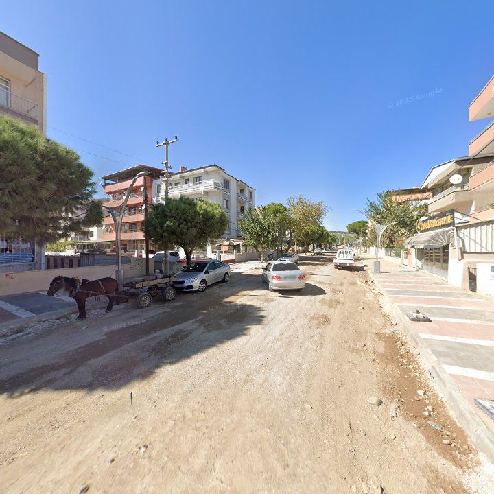 Fotoğraf 10