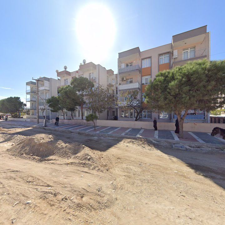 Fotoğraf 9