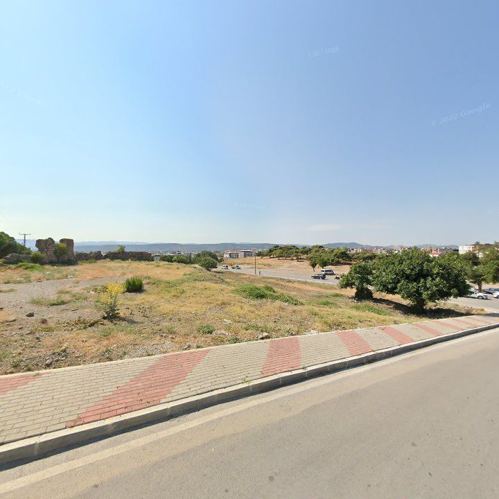 Fotoğraf 11