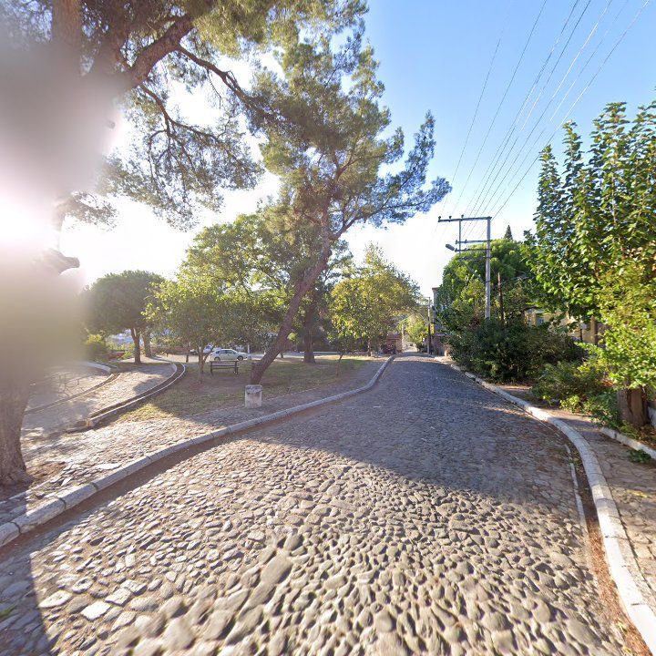 Fotoğraf 11