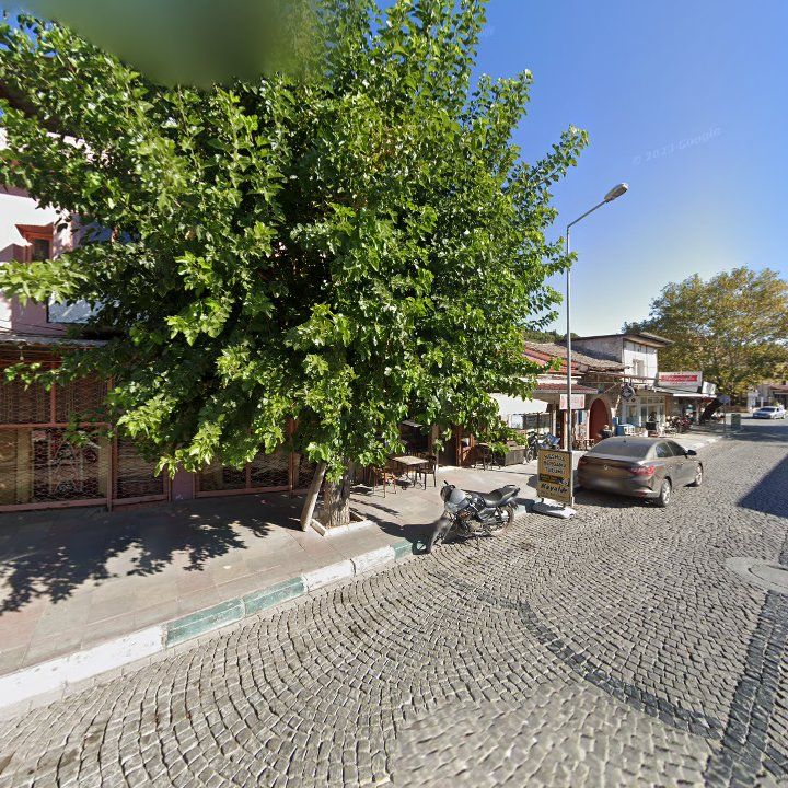 Fotoğraf 9