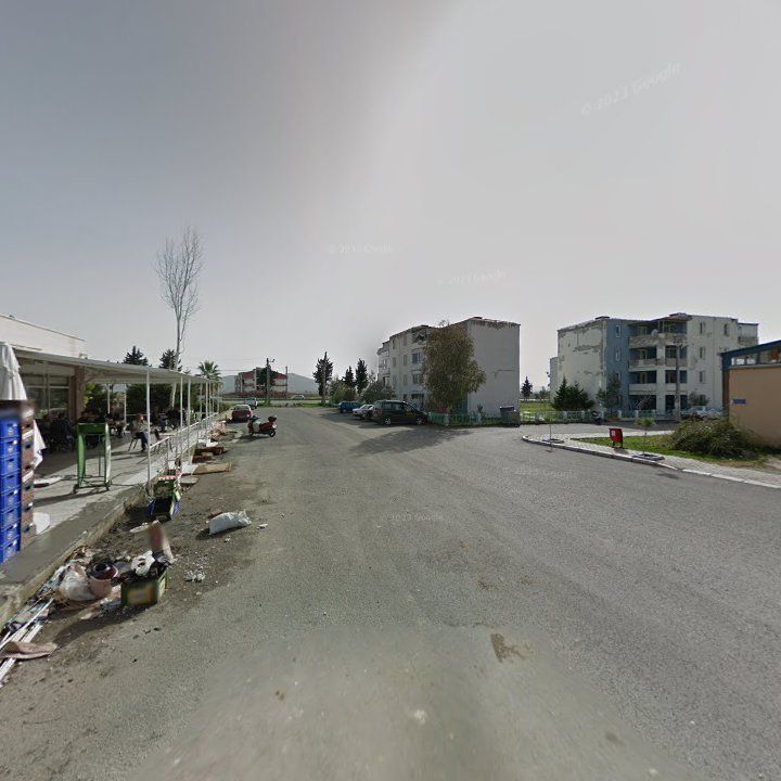 Fotoğraf 7