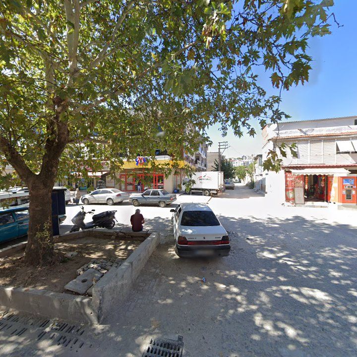 Fotoğraf 6