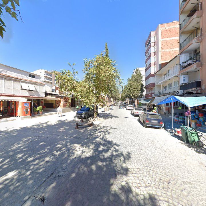 Fotoğraf 7