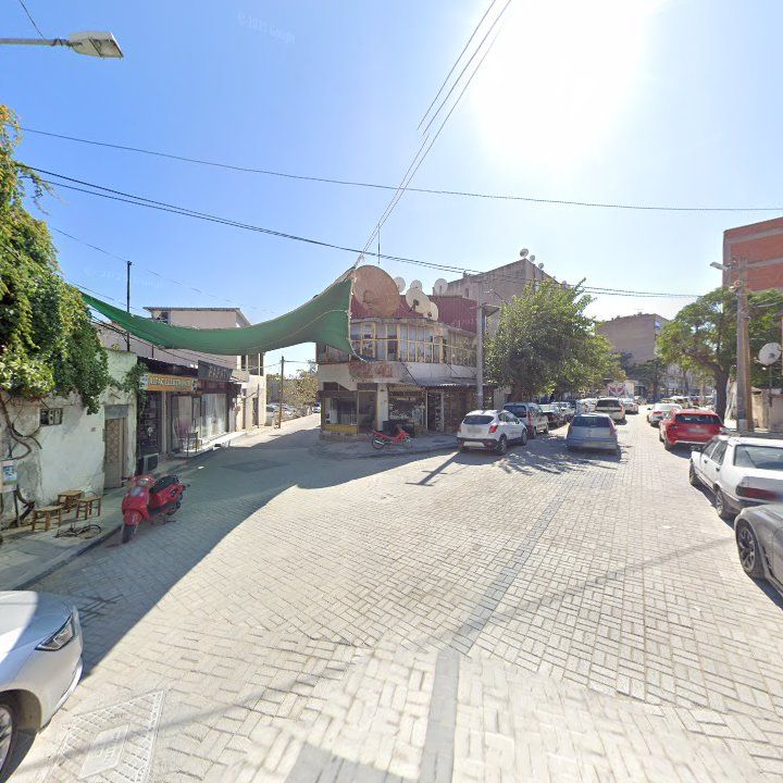 Fotoğraf 11