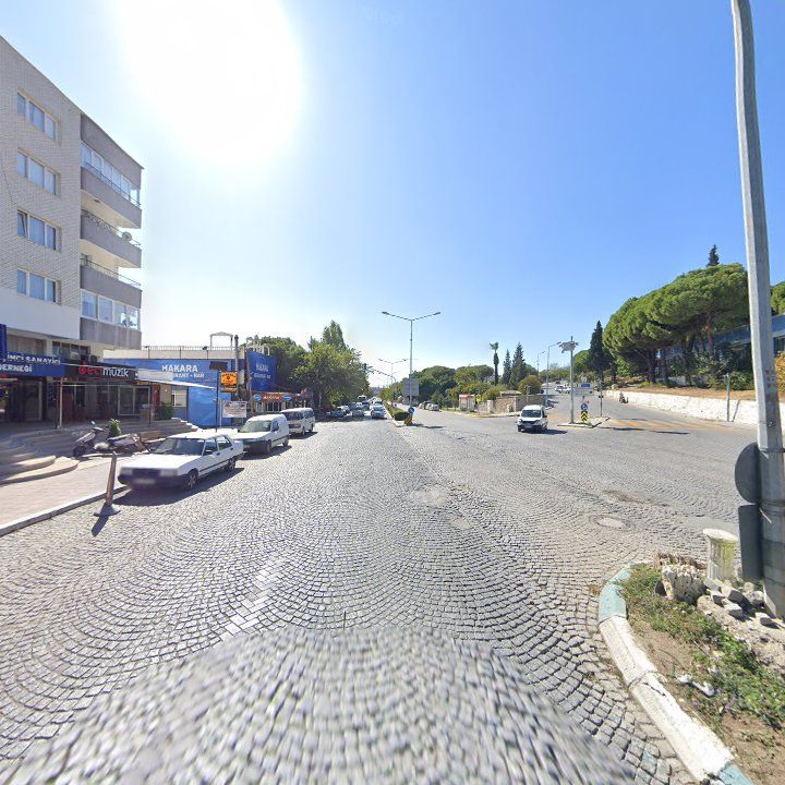Fotoğraf 6