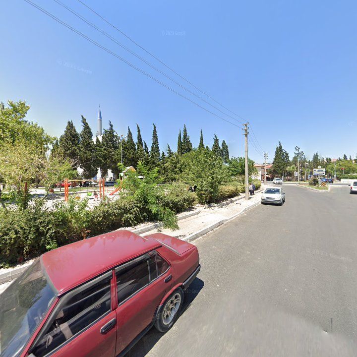 Fotoğraf 9