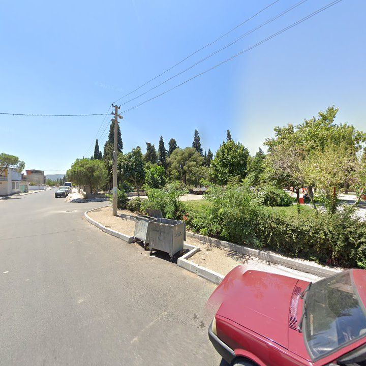 Fotoğraf 8