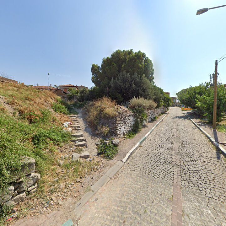 Fotoğraf 12
