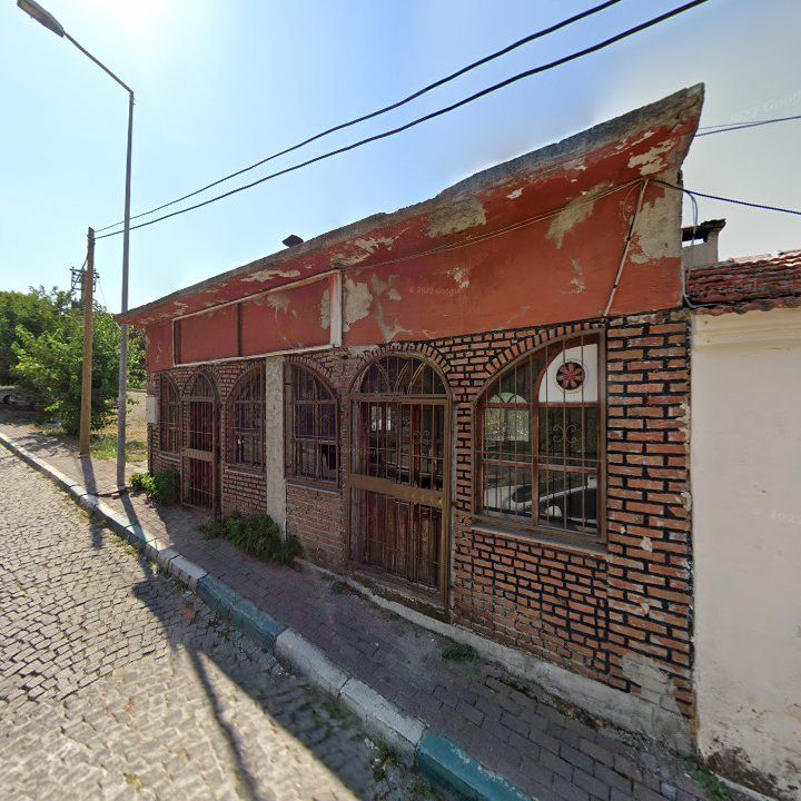 Fotoğraf 9