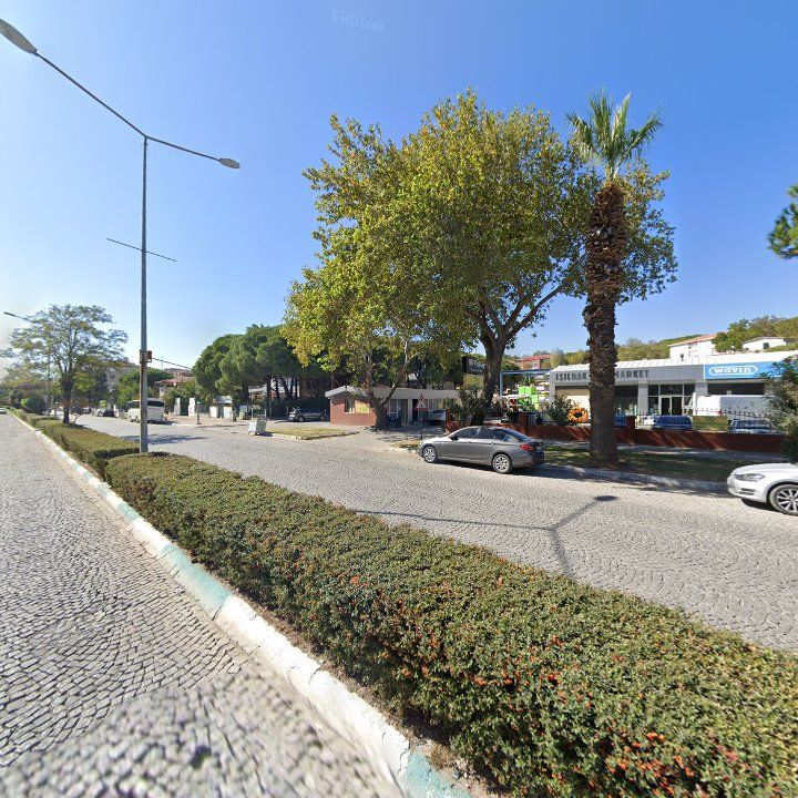 Fotoğraf 10