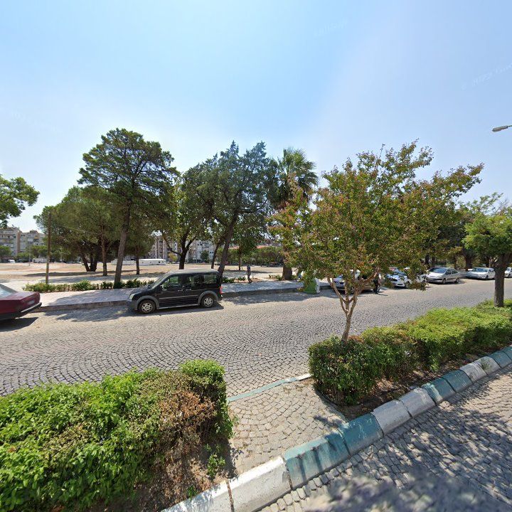Fotoğraf 10