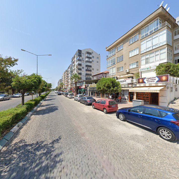Fotoğraf 11