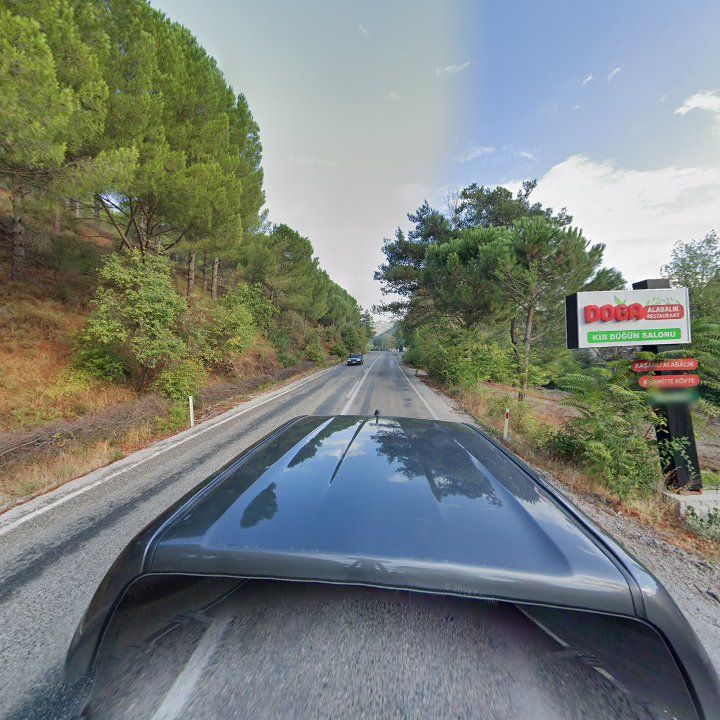 Fotoğraf 11