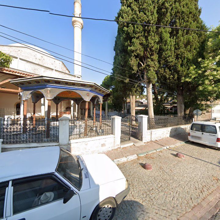 Fotoğraf 3