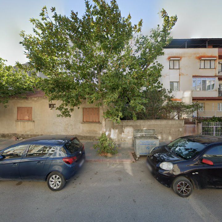 Fotoğraf 7