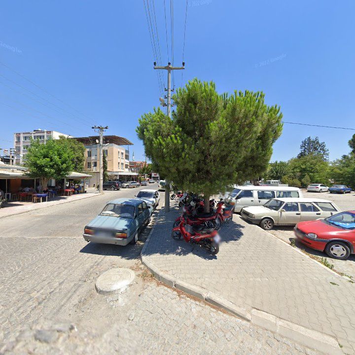 Fotoğraf 5