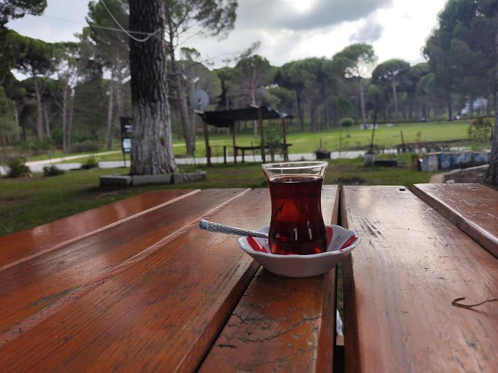 Hakanın Yeri