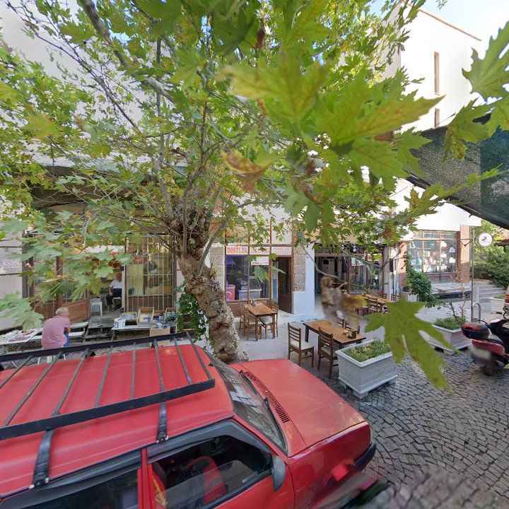 Fotoğraf 6