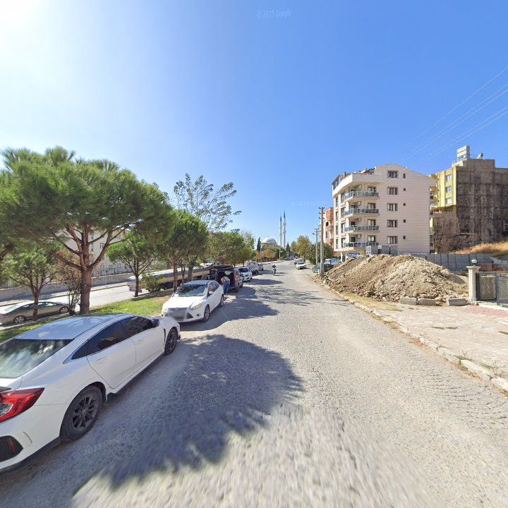 Fotoğraf 7