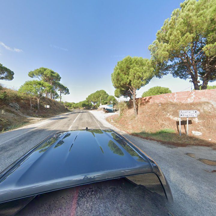 Fotoğraf 10