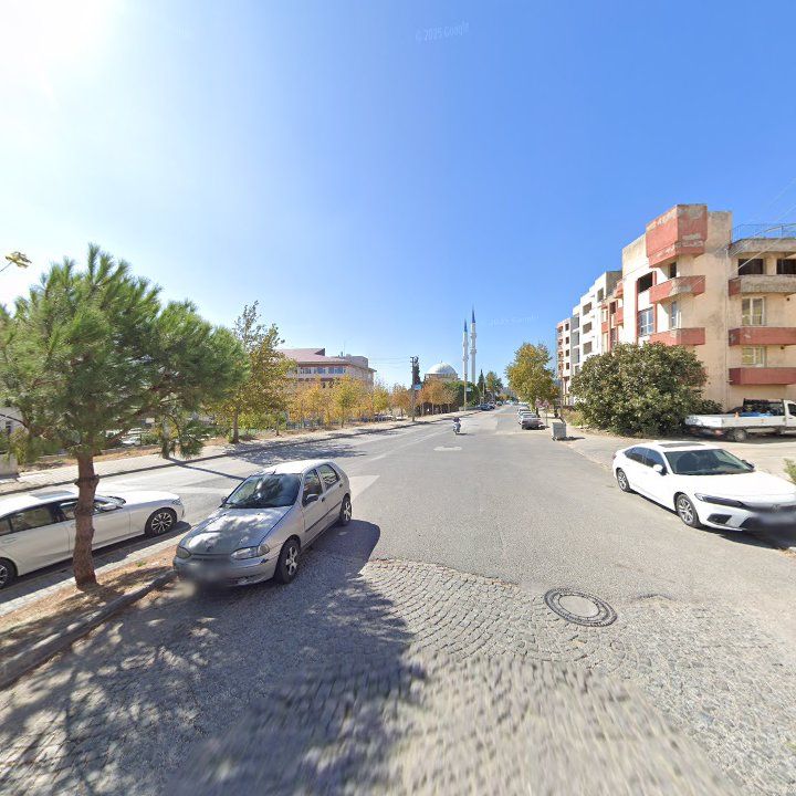 Fotoğraf 8