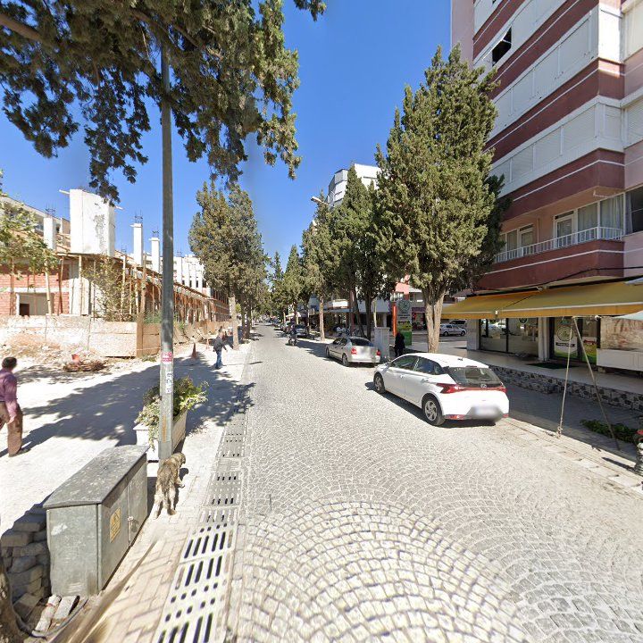 Fotoğraf 3