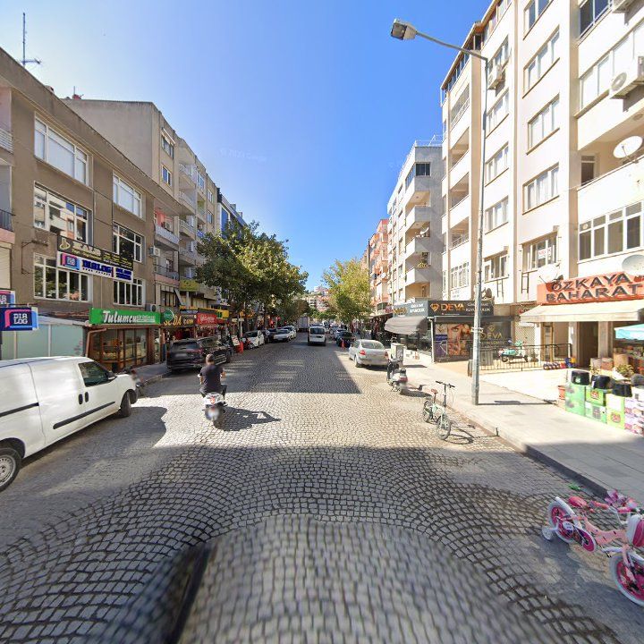 Fotoğraf 10