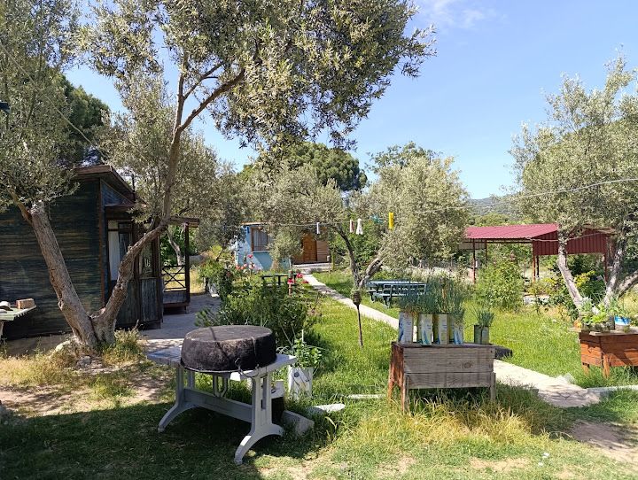Fotoğraf 7