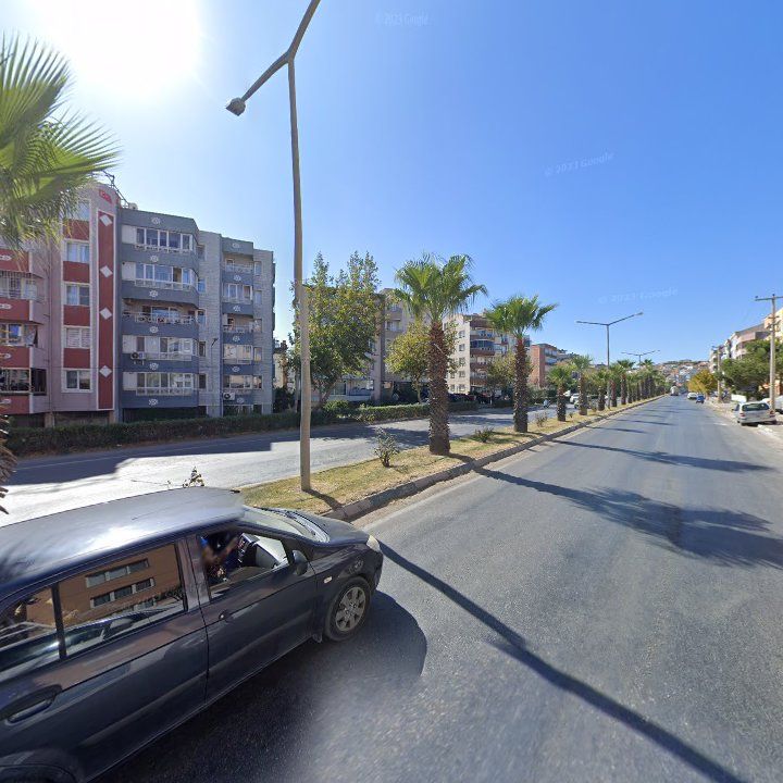 Fotoğraf 9