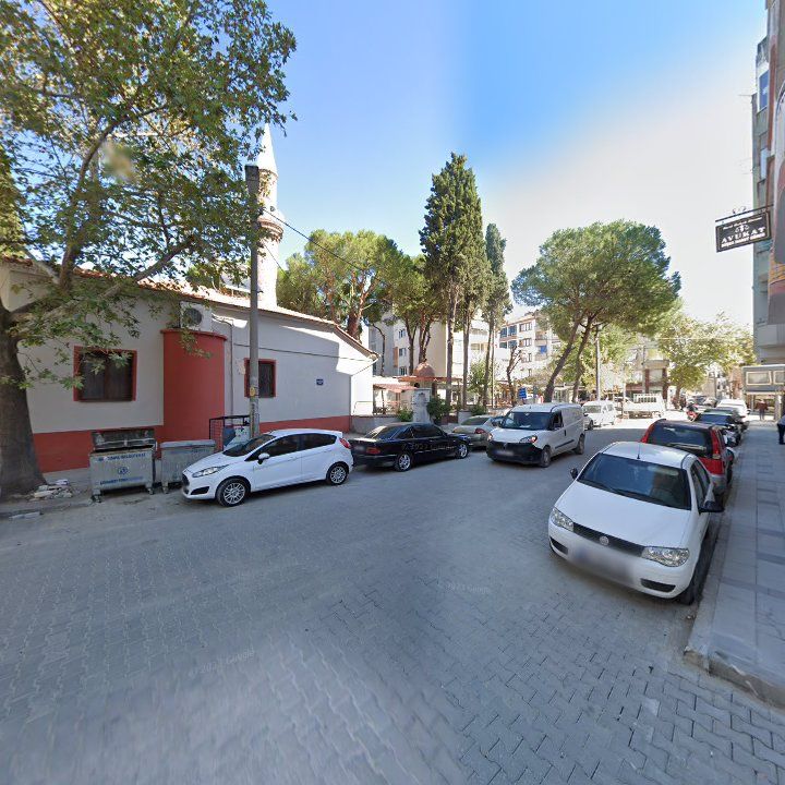 Fotoğraf 7