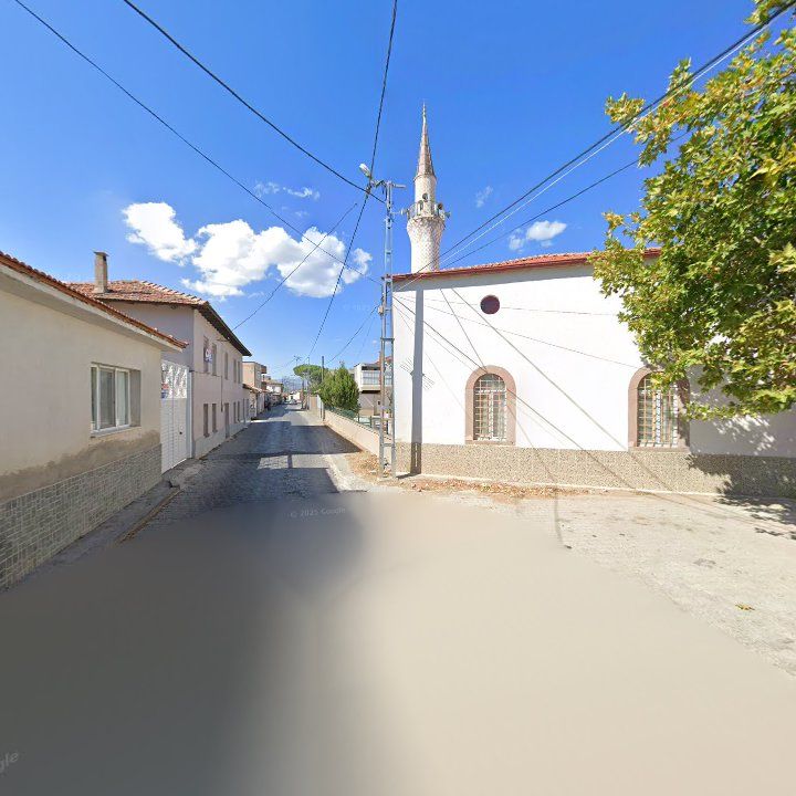 Fotoğraf 5