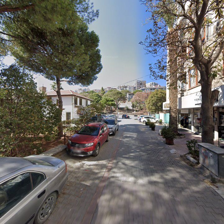 Fotoğraf 8