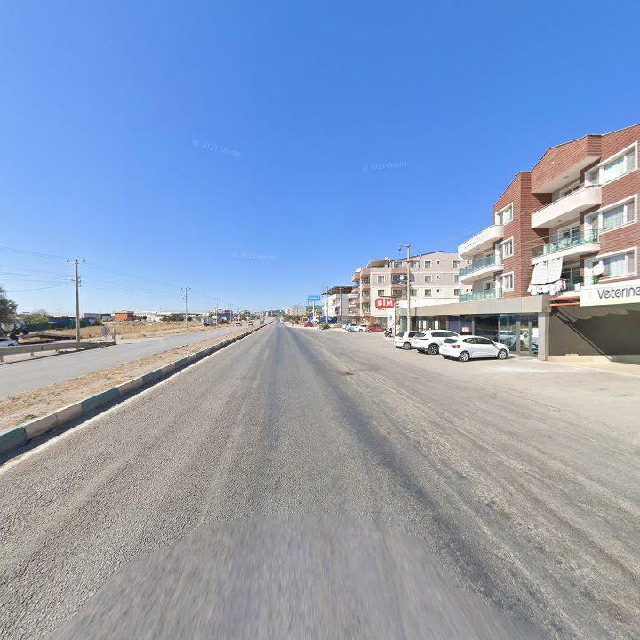 Fotoğraf 6