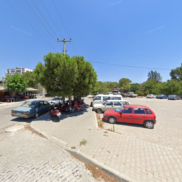 Fotoğraf 9